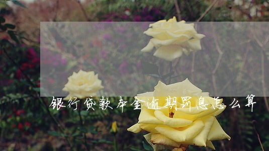 银行贷款本金逾期罚息怎么算 银行贷款本金逾期罚息怎么算