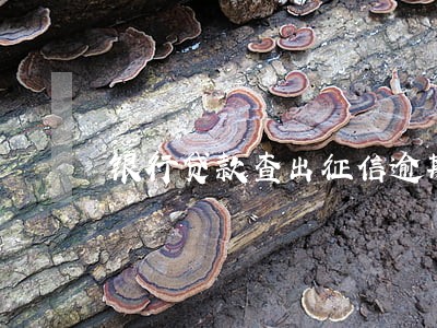 银行贷款查出征信逾期 银行贷款查出征信逾期