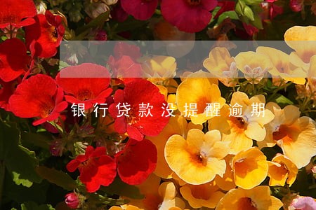 银行贷款没提醒逾期 银行贷款没提醒逾期