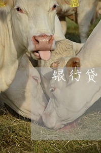 银行贷款没有提醒导致逾期