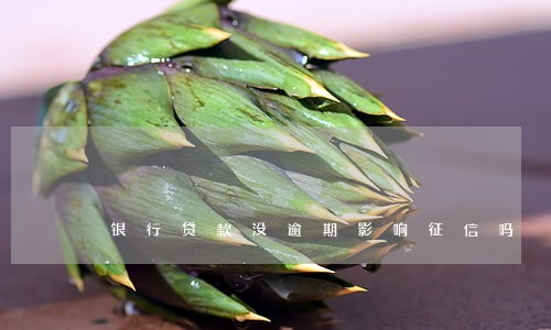 银行贷款没逾期影响征信吗