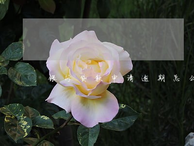 银行贷款申请逾期怎么办 银行贷款申请逾期怎么办