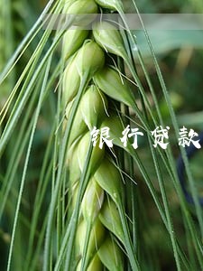 银行贷款的车逾期会被拖走嘛 银行贷款的车逾期会被拖走嘛