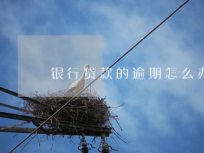 银行贷款的逾期怎么办 银行贷款的逾期怎么办