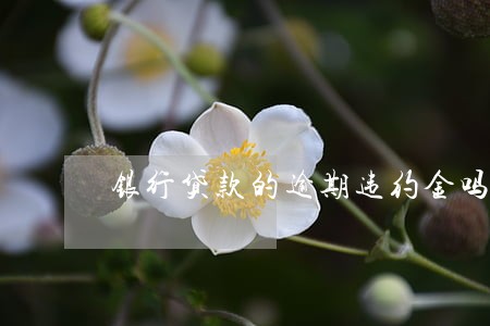 银行贷款的逾期违约金吗 银行贷款的逾期违约金吗