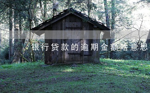 银行贷款的逾期金额啥意思