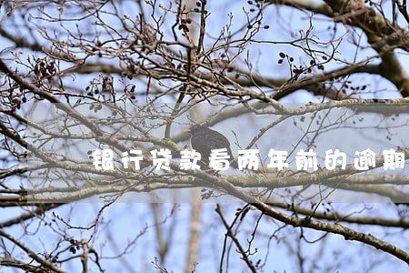 银行贷款看两年前的逾期吗 银行贷款看两年前的逾期吗