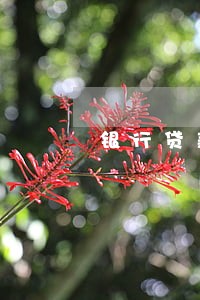 银行贷款网贷逾期有影响吗 银行贷款网贷逾期有影响吗