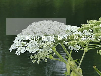 银行贷款自己没扣钱说我逾期 银行贷款自己没扣钱说我逾期