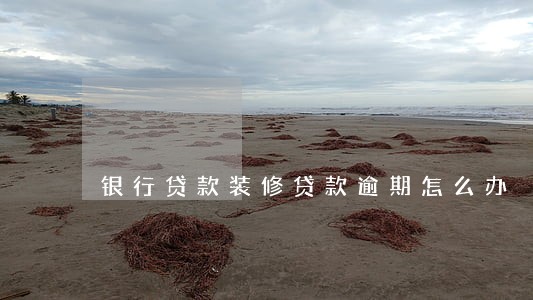 银行贷款装修贷款逾期怎么办 银行贷款装修贷款逾期怎么办
