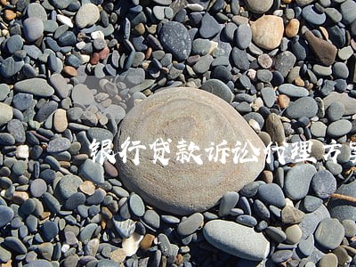 银行贷款诉讼代理方案 银行贷款诉讼代理方案