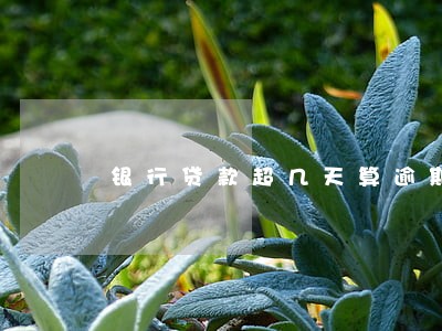 银行贷款超几天算逾期 银行贷款超几天算逾期