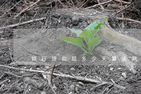 银行贷款超多少天算逾期 银行贷款超多少天算逾期