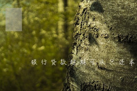 银行贷款超期可以只还本金吗 银行贷款超期可以只还本金吗