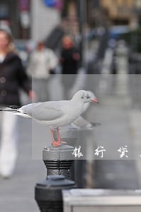 银行贷款还不上法院起诉了如何 银行贷款还不上法院起诉了如何