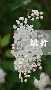 银行贷款还不上逾期会怎么样 银行贷款还不上逾期会怎么样