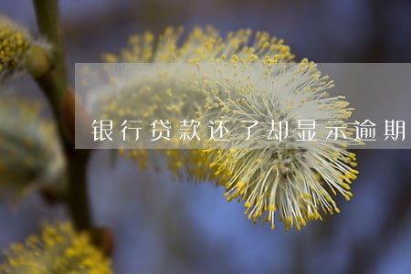 银行贷款还了却显示逾期 银行贷款还了却显示逾期