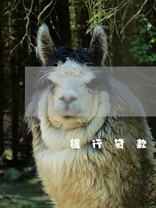 银行贷款还款逾期三天 银行贷款还款逾期三天