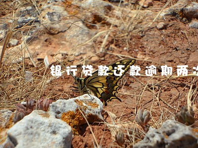 银行贷款还款逾期两次要紧吗 银行贷款还款逾期两次要紧吗