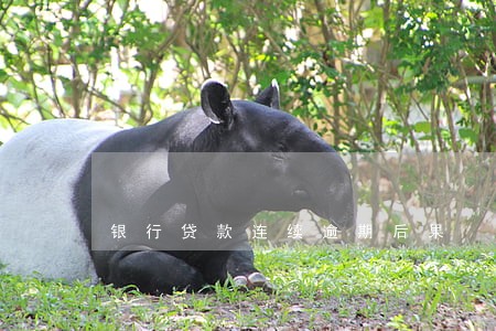 银行贷款连续逾期后果 银行贷款连续逾期后果
