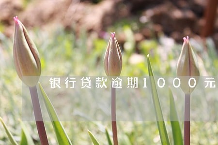 银行贷款逾期1000元 银行贷款逾期1000元