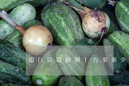 银行贷款逾期1万多多少利息 银行贷款逾期1万多多少利息