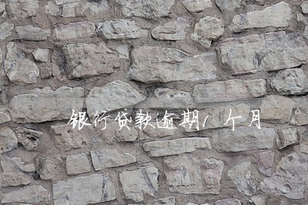 银行贷款逾期1个月 银行贷款逾期1个月