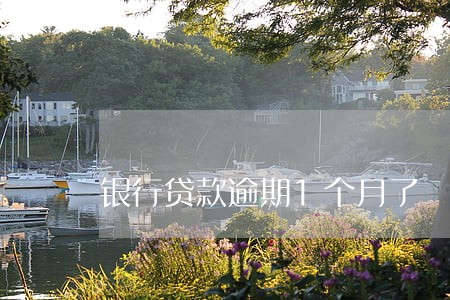 银行贷款逾期1个月了 银行贷款逾期1个月了