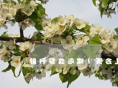 银行贷款逾期1天会上征信吗 银行贷款逾期1天会上征信吗