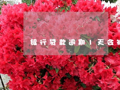 银行贷款逾期1天会被计入 银行贷款逾期1天会被计入