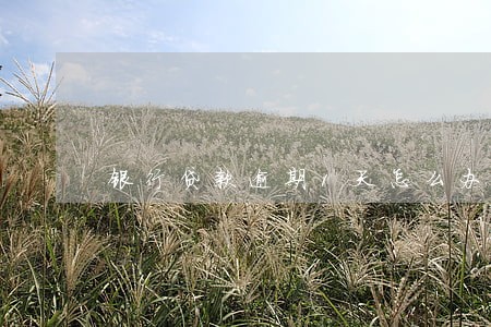 银行贷款逾期1天怎么办