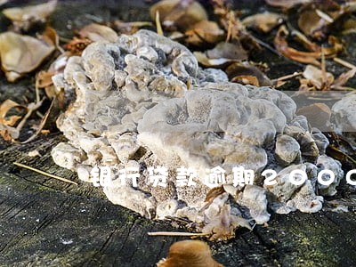 银行贷款逾期20000 银行贷款逾期20000