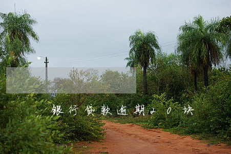 银行贷款逾期20块 银行贷款逾期20块