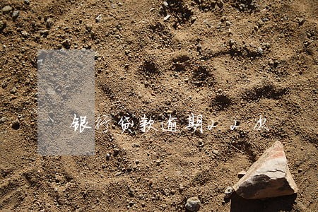 银行贷款逾期22次 银行贷款逾期22次