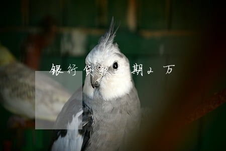 银行贷款逾期2万 银行贷款逾期2万
