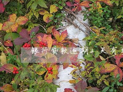 银行贷款逾期2天有事吗 银行贷款逾期2天有事吗