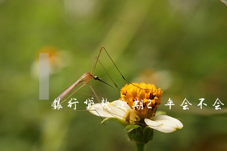 银行贷款逾期2年会不会抓 银行贷款逾期2年会不会抓