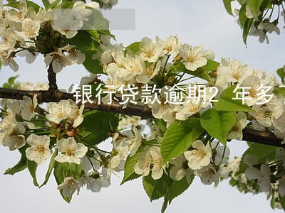 银行贷款逾期2年多了还不上 银行贷款逾期2年多了还不上