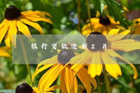 银行贷款逾期2月 银行贷款逾期2月