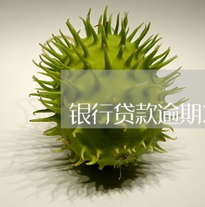 银行贷款逾期30天以内