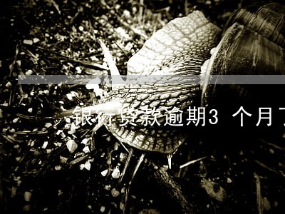 银行贷款逾期3个月了 银行贷款逾期3个月了
