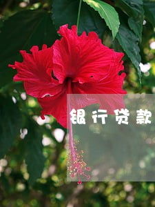 银行贷款逾期3个月罚息