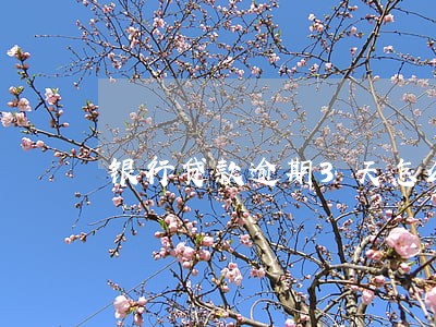 银行贷款逾期3天怎么办 银行贷款逾期3天怎么办