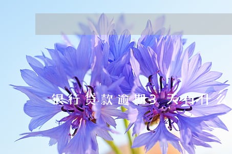 银行贷款逾期3天有什么影响 银行贷款逾期3天有什么影响