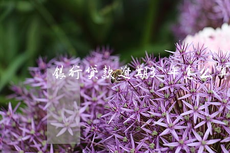 银行贷款逾期3年怎么算 银行贷款逾期3年怎么算
