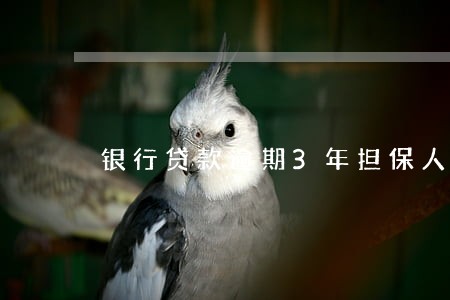 银行贷款逾期3年担保人 银行贷款逾期3年担保人