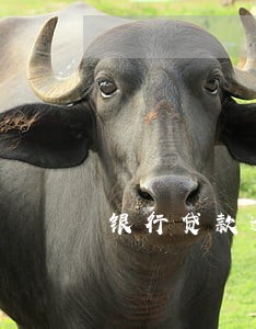 银行贷款逾期40天 银行贷款逾期40天