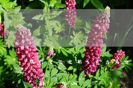 银行贷款逾期50天是啥后果 银行贷款逾期50天是啥后果