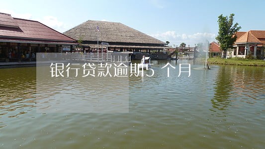 银行贷款逾期5个月 银行贷款逾期5个月