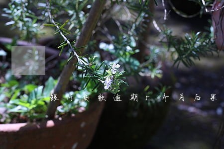 银行贷款逾期5个月后果